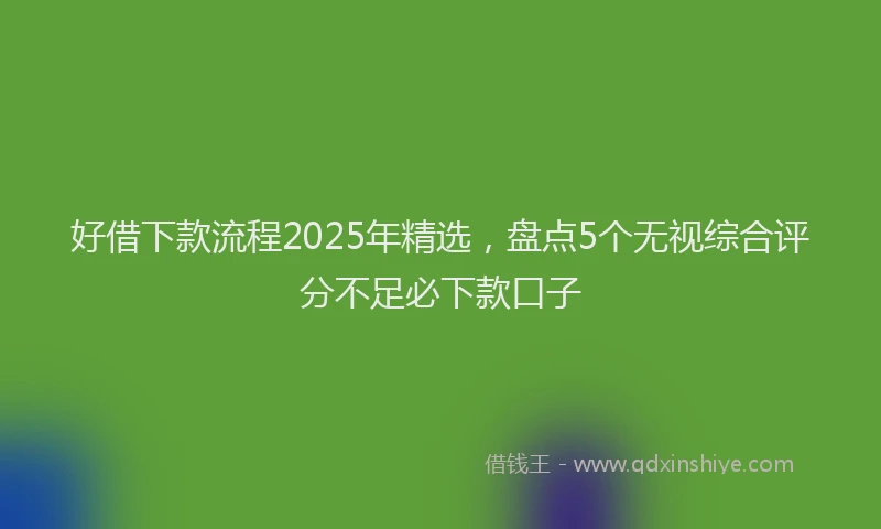 好借下款流程2025年精选，盘点5个无视综合评分不足必下款口子