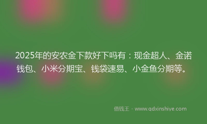 2025年的安农金下款好下吗有：现金超人、金诺钱包、小米分期宝、钱袋速易、小金鱼分期等。