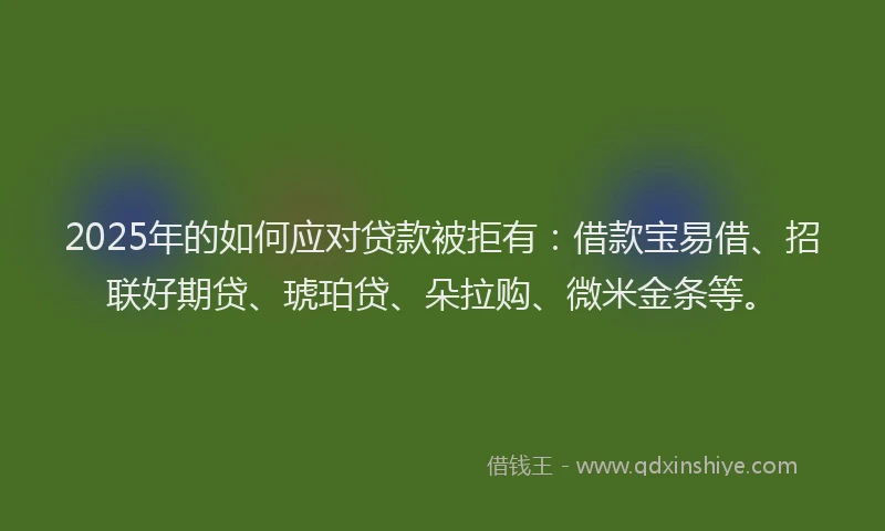 2025年的如何应对贷款被拒有：借款宝易借、招联好期贷、琥珀贷、朵拉购、微米金条等。