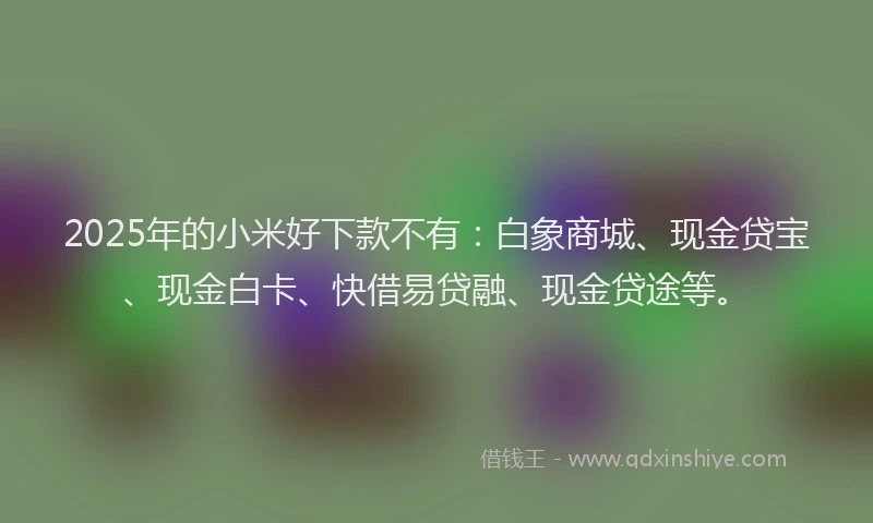 2025年的小米好下款不有：白象商城、现金贷宝、现金白卡、快借易贷融、现金贷途等。