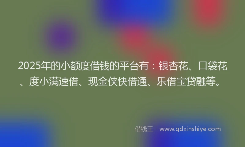 2025年的小额度借钱的平台有：银杏花、口袋花、度小满速借、现金侠快借通、乐借宝贷融等。