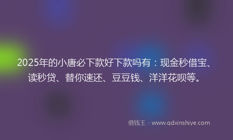 2025年的小唐必下款好下款吗有：现金秒借宝、读秒贷、替你速还、豆豆钱、洋洋花呗等。