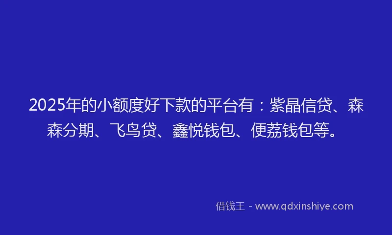 2025年的小额度好下款的平台有：紫晶信贷、森森分期、飞鸟贷、鑫悦钱包、便荔钱包等。
