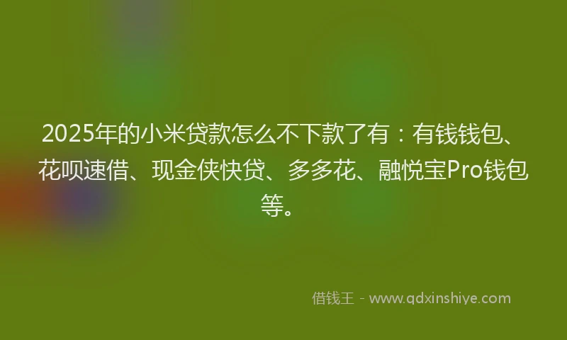 2025年的小米贷款怎么不下款了有：有钱钱包、花呗速借、现金侠快贷、多多花、融悦宝Pro钱包等。