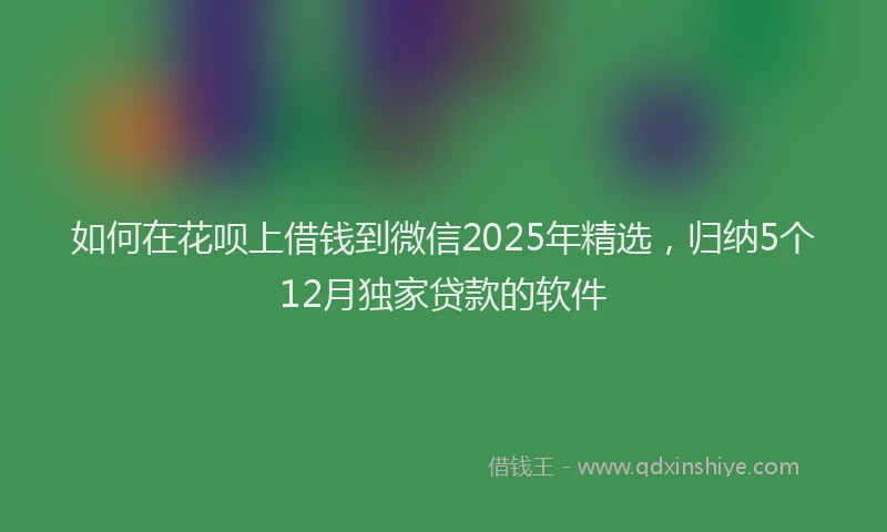 如何在花呗上借钱到微信2025年精选，归纳5个12月独家贷款的软件