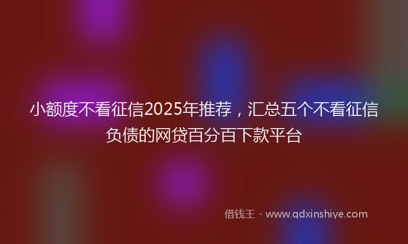 小额度不看征信2025年推荐，汇总五个不看征信负债的网贷百分百下款平台