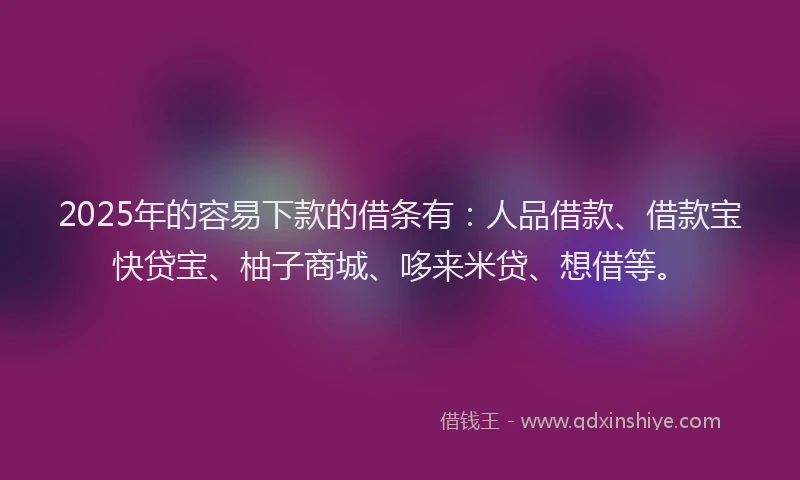2025年的容易下款的借条有：人品借款、借款宝快贷宝、柚子商城、哆来米贷、想借等。
