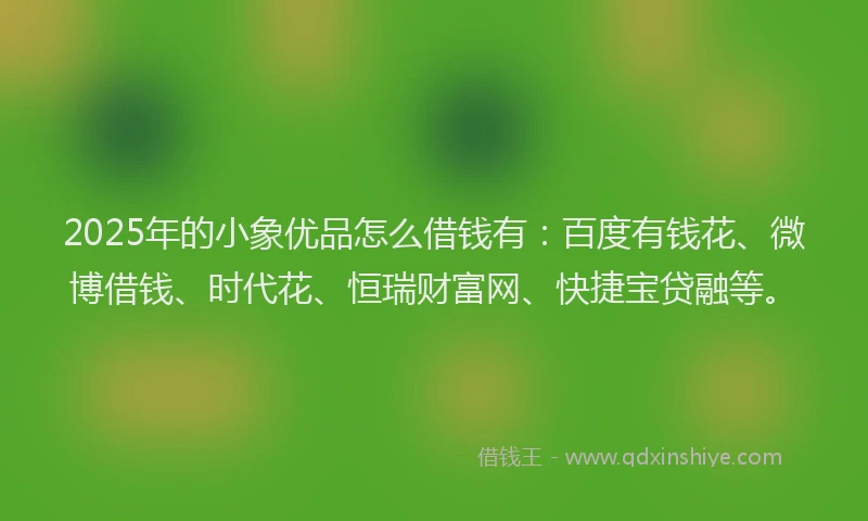 2025年的小象优品怎么借钱有：百度有钱花、微博借钱、时代花、恒瑞财富网、快捷宝贷融等。