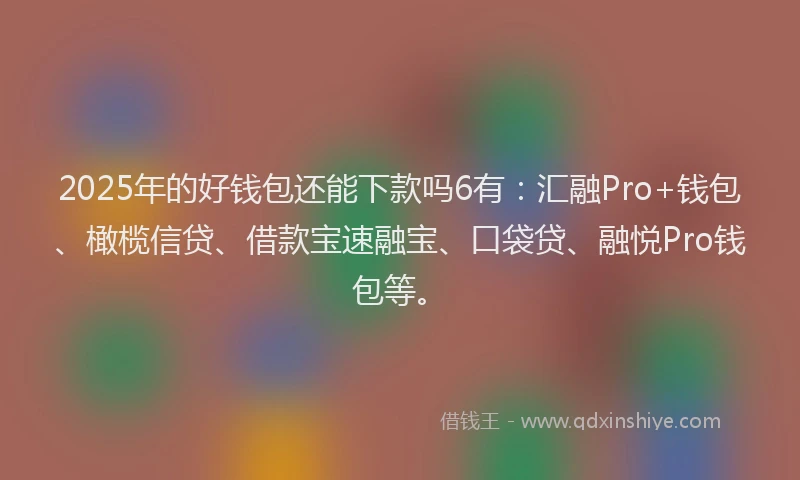 2025年的好钱包还能下款吗6有：汇融Pro+钱包、橄榄信贷、借款宝速融宝、口袋贷、融悦Pro钱包等。