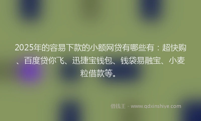 2025年的容易下款的小额网贷有哪些有：超快购、百度贷你飞、迅捷宝钱包、钱袋易融宝、小麦粒借款等。