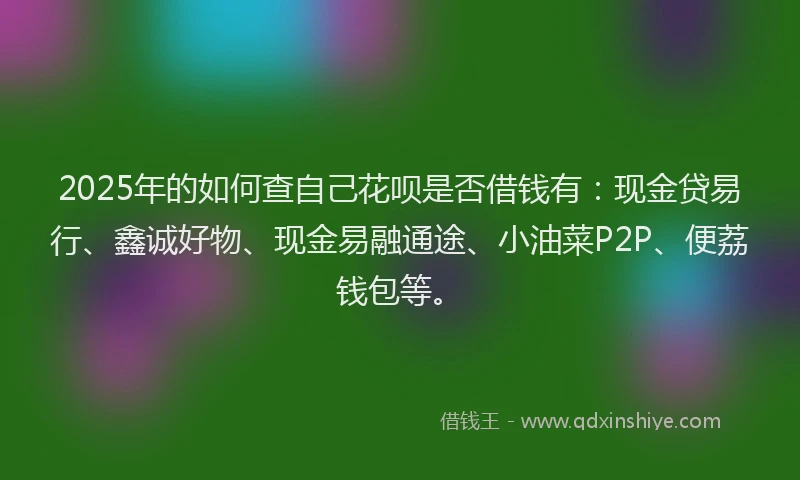 2025年的如何查自己花呗是否借钱有：现金贷易行、鑫诚好物、现金易融通途、小油菜P2P、便荔钱包等。