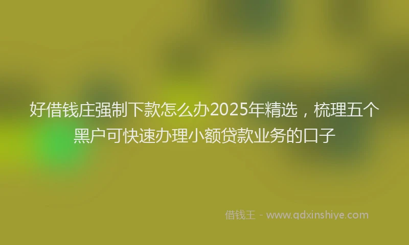 好借钱庄强制下款怎么办2025年精选，梳理五个黑户可快速办理小额贷款业务的口子