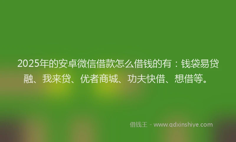 2025年的安卓微信借款怎么借钱的有：钱袋易贷融、我来贷、优者商城、功夫快借、想借等。
