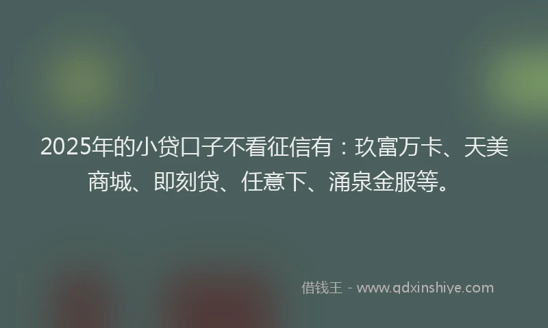 2025年的小贷口子不看征信有：玖富万卡、天美商城、即刻贷、任意下、涌泉金服等。