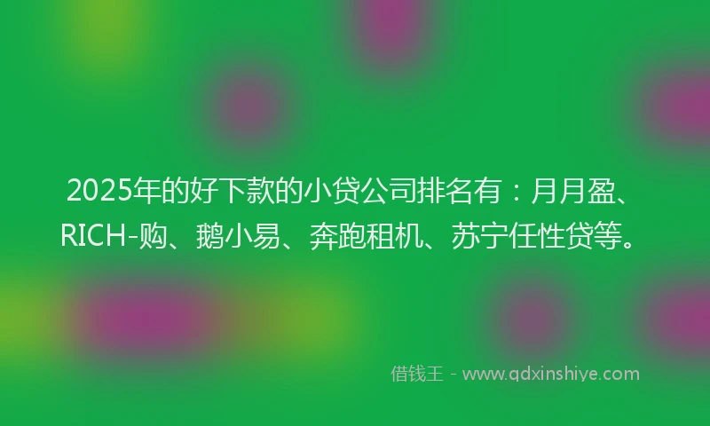 2025年的好下款的小贷公司排名有：月月盈、RICH-购、鹅小易、奔跑租机、苏宁任性贷等。