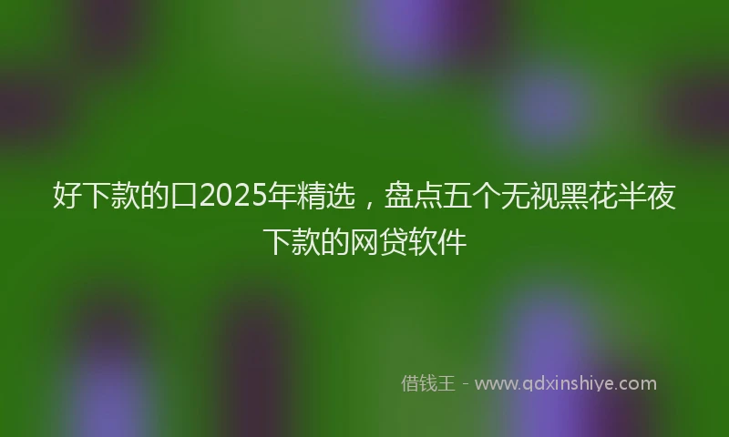 好下款的口2025年精选，盘点五个无视黑花半夜下款的网贷软件