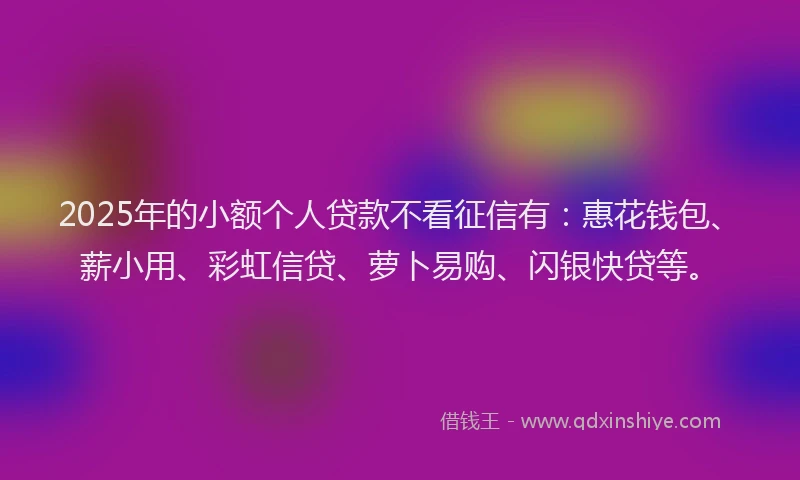 2025年的小额个人贷款不看征信有：惠花钱包、薪小用、彩虹信贷、萝卜易购、闪银快贷等。