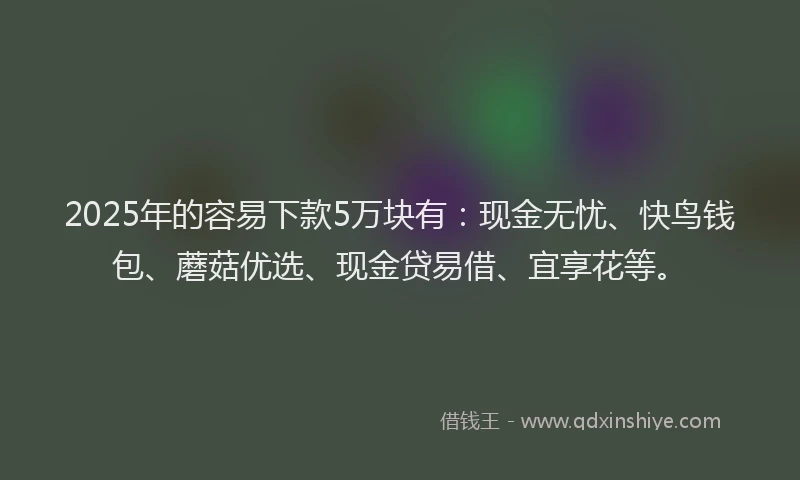 2025年的容易下款5万块有：现金无忧、快鸟钱包、蘑菇优选、现金贷易借、宜享花等。