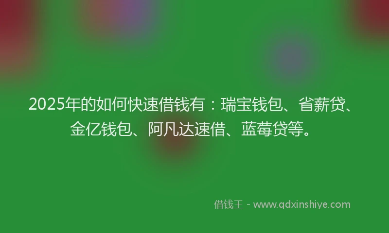 2025年的如何快速借钱有：瑞宝钱包、省薪贷、金亿钱包、阿凡达速借、蓝莓贷等。