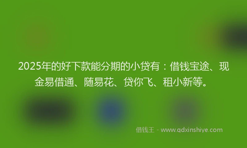 2025年的好下款能分期的小贷有：借钱宝途、现金易借通、随易花、贷你飞、租小新等。