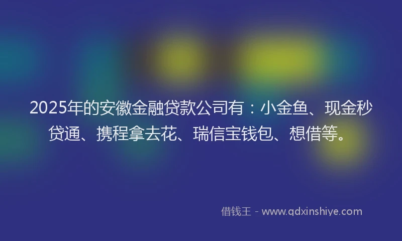 2025年的安徽金融贷款公司有：小金鱼、现金秒贷通、携程拿去花、瑞信宝钱包、想借等。