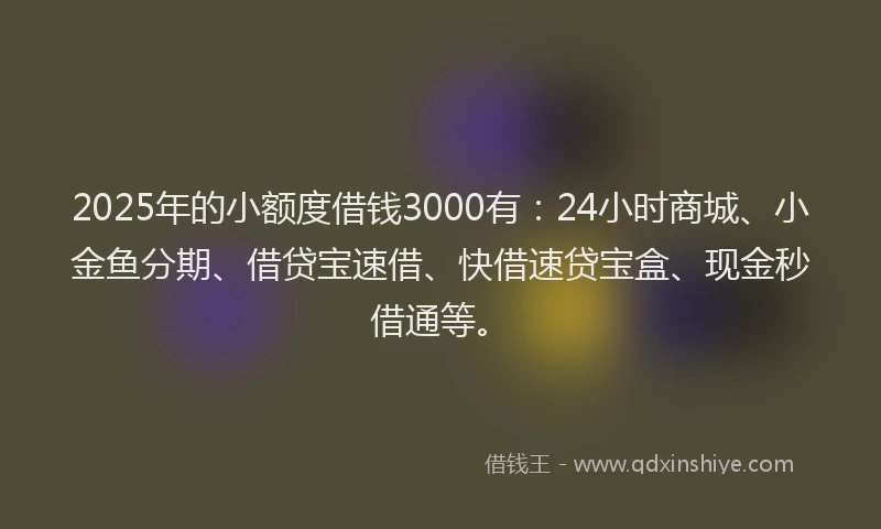 2025年的小额度借钱3000有：24小时商城、小金鱼分期、借贷宝速借、快借速贷宝盒、现金秒借通等。