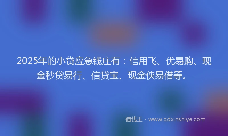 2025年的小贷应急钱庄有：信用飞、优易购、现金秒贷易行、信贷宝、现金侠易借等。