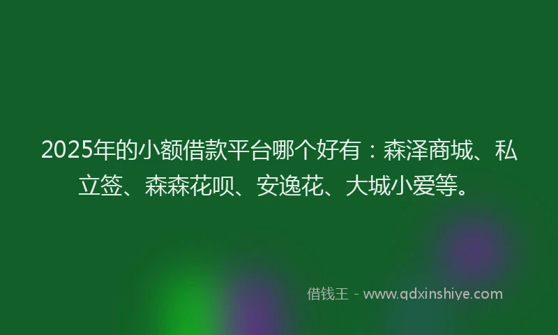 2025年的小额借款平台哪个好有：森泽商城、私立签、森森花呗、安逸花、大城小爱等。