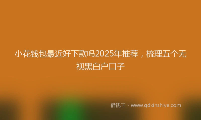 小花钱包最近好下款吗2025年推荐，梳理五个无视黑白户口子