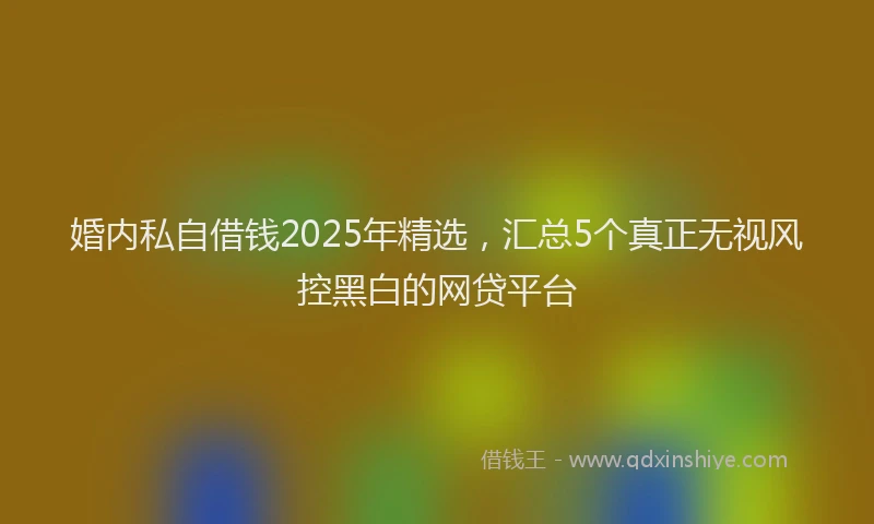 婚内私自借钱2025年精选，汇总5个真正无视风控黑白的网贷平台