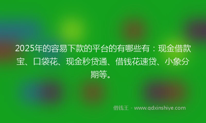 2025年的容易下款的平台的有哪些有：现金借款宝、口袋花、现金秒贷通、借钱花速贷、小象分期等。