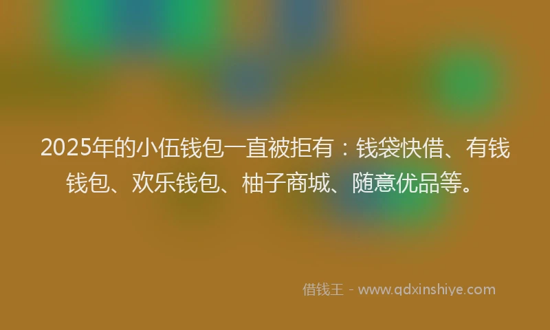 2025年的小伍钱包一直被拒有：钱袋快借、有钱钱包、欢乐钱包、柚子商城、随意优品等。