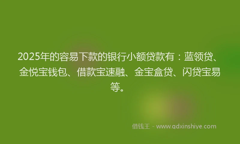 2025年的容易下款的银行小额贷款有：蓝领贷、金悦宝钱包、借款宝速融、金宝盒贷、闪贷宝易等。