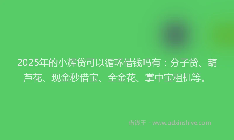 2025年的小辉贷可以循环借钱吗有：分子贷、葫芦花、现金秒借宝、全金花、掌中宝租机等。