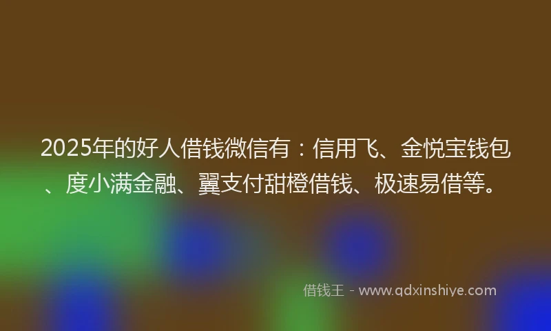 2025年的好人借钱微信有：信用飞、金悦宝钱包、度小满金融、翼支付甜橙借钱、极速易借等。
