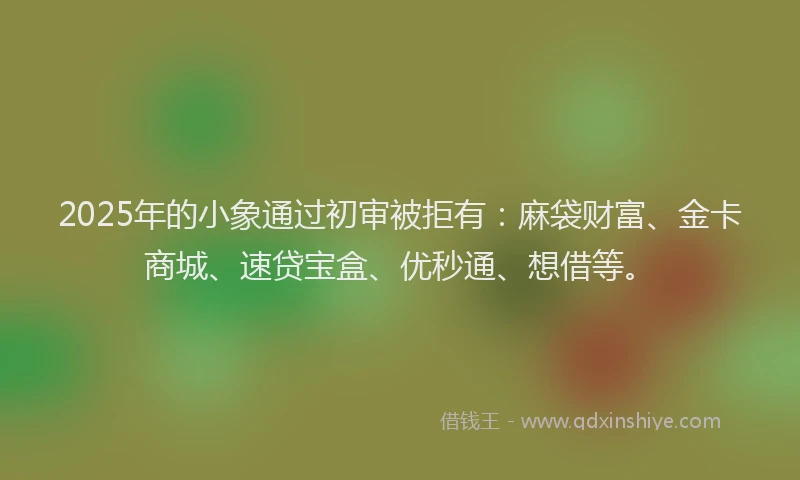 2025年的小象通过初审被拒有：麻袋财富、金卡商城、速贷宝盒、优秒通、想借等。