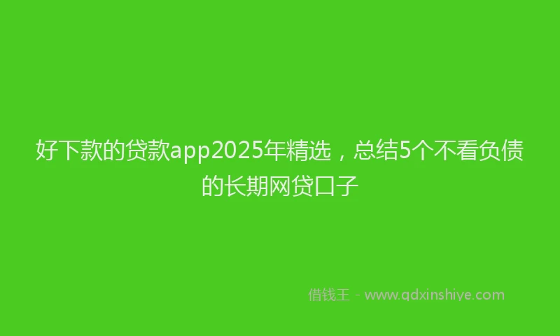 好下款的贷款app2025年精选，总结5个不看负债的长期网贷口子