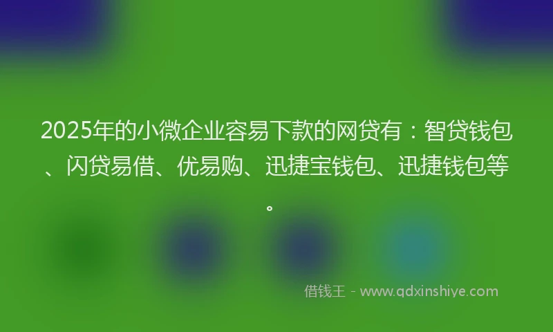 2025年的小微企业容易下款的网贷有：智贷钱包、闪贷易借、优易购、迅捷宝钱包、迅捷钱包等。