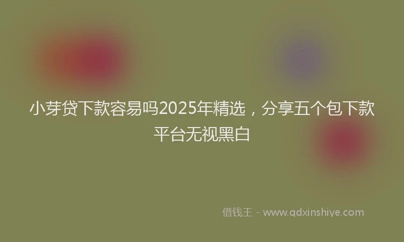 小芽贷下款容易吗2025年精选，分享五个包下款平台无视黑白