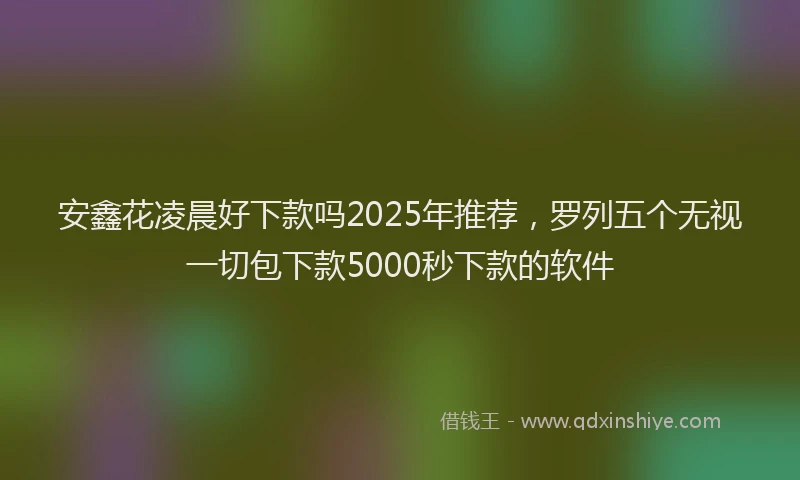 安鑫花凌晨好下款吗2025年推荐，罗列五个无视一切包下款5000秒下款的软件
