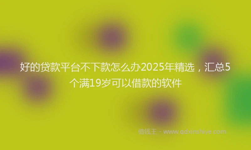 好的贷款平台不下款怎么办2025年精选，汇总5个满19岁可以借款的软件