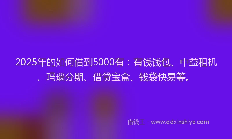 2025年的如何借到5000有：有钱钱包、中益租机、玛瑙分期、借贷宝盒、钱袋快易等。