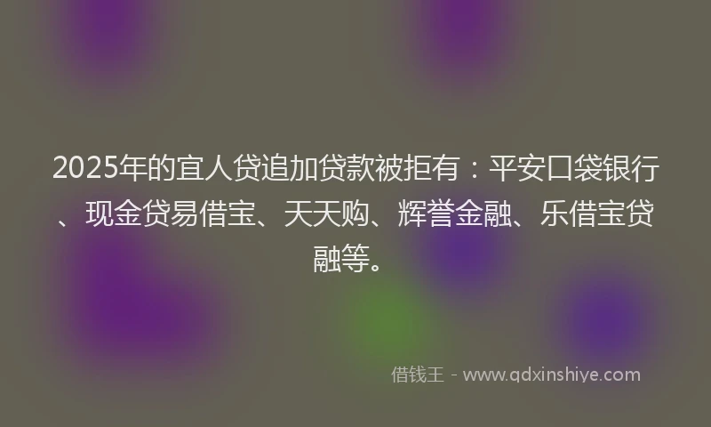2025年的宜人贷追加贷款被拒有：平安口袋银行、现金贷易借宝、天天购、辉誉金融、乐借宝贷融等。