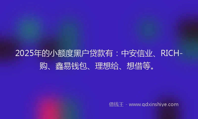 2025年的小额度黑户贷款有：中安信业、RICH-购、鑫易钱包、理想给、想借等。