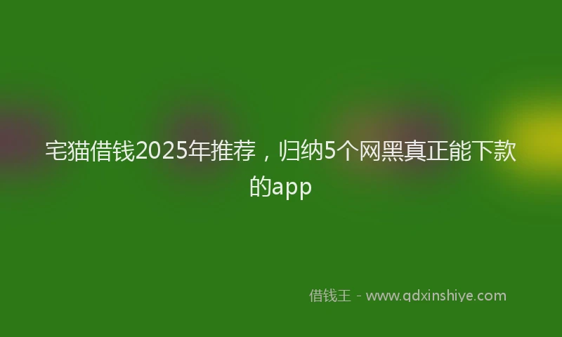 宅猫借钱2025年推荐，归纳5个网黑真正能下款的app