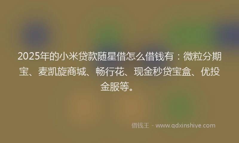 2025年的小米贷款随星借怎么借钱有：微粒分期宝、麦凯旋商城、畅行花、现金秒贷宝盒、优投金服等。