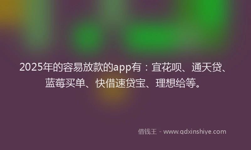 2025年的容易放款的app有：宜花呗、通天贷、蓝莓买单、快借速贷宝、理想给等。