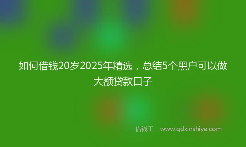 如何借钱20岁2025年精选，总结5个黑户可以做大额贷款口子