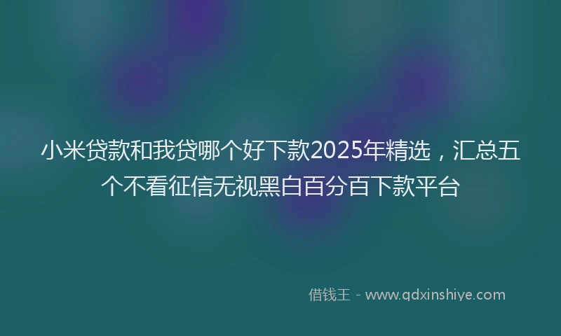 小米贷款和我贷哪个好下款2025年精选，汇总五个不看征信无视黑白百分百下款平台