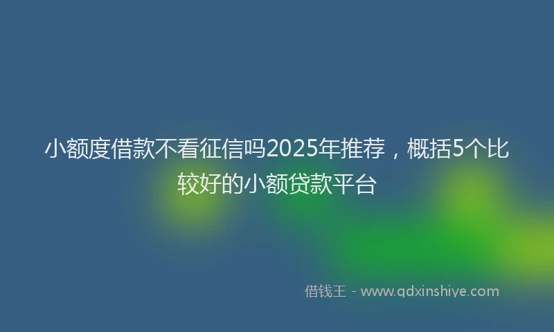 小额度借款不看征信吗2025年推荐，概括5个比较好的小额贷款平台